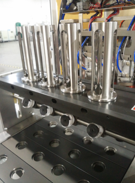 poner tapas precortadas